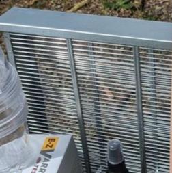 Queen Isolation Cage
