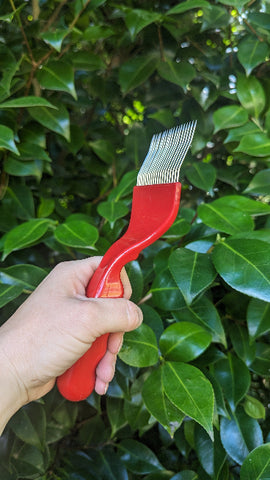 A red comb scratcher with bent steel prongs to use when uncapping honey or drone brood for Varroa Mite inspections. Ergonomic handle for comfortable grip