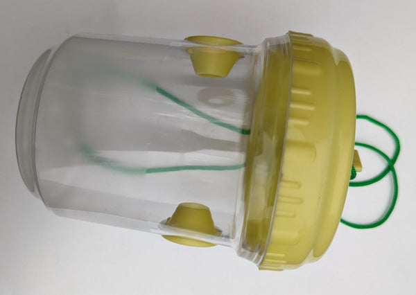 Small wasp trap