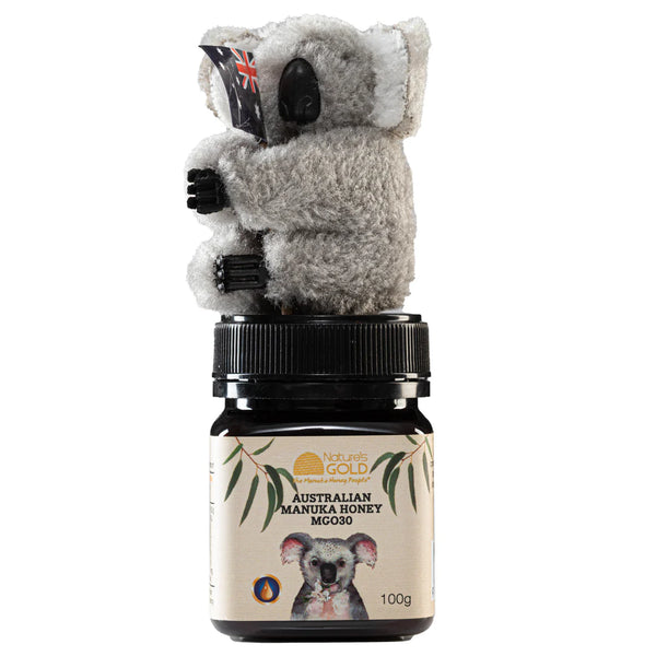Gift Pack - MGO 30 x 100g and Koala