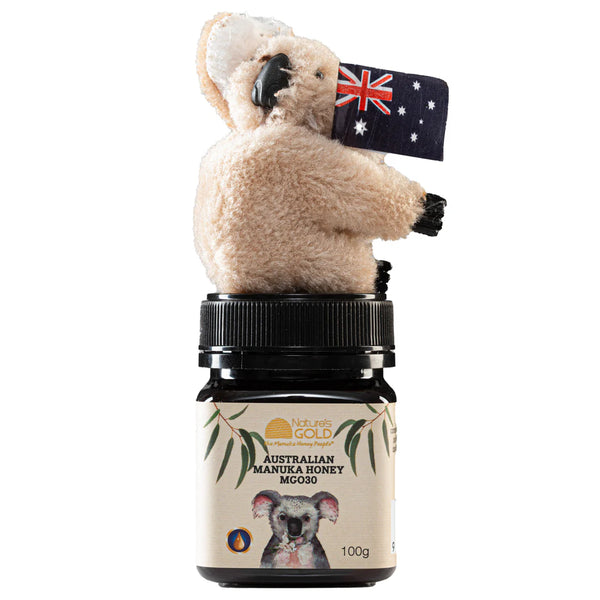 Gift Pack - MGO 30 x 100g and Koala