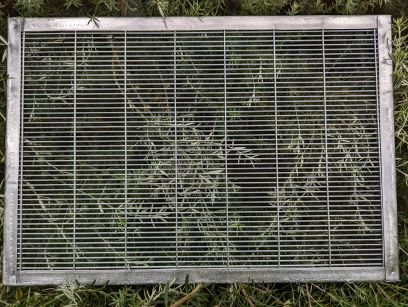 Queen Excluder - 8 frame size Wire