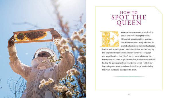 Queen Spotting book by Hilary Kearney