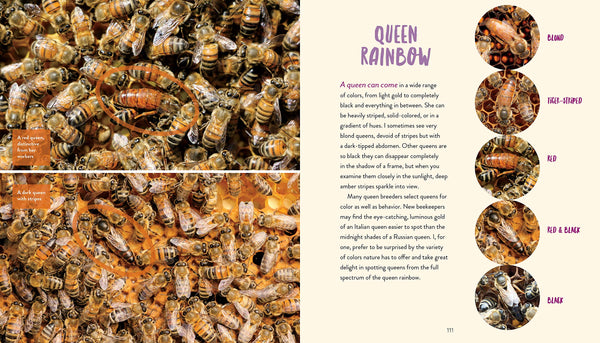 Queenspotting book by Girl next door honey
