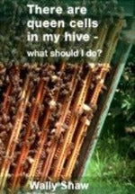 queen cells in my hive so what should I do, beginner beekeeping