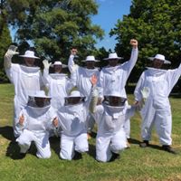 Beginner beekeeping course Melbourne