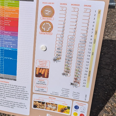Calculate the brood cycle for varroa mite monitoring using drone brood and Queen Bee breeding