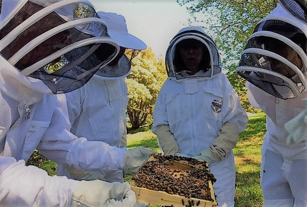 Beginner beekeeping course Melbourne