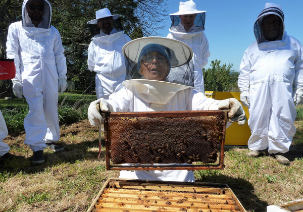 Beginner beekeeping course Melbourne