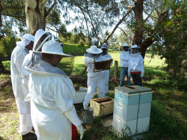 Beginner beekeeping course Melbourne