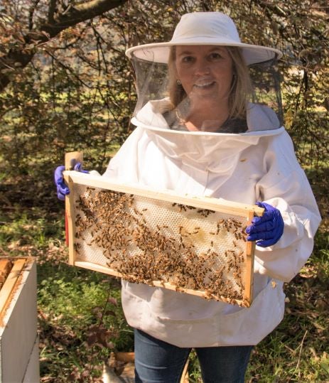 Beginner beekeeping course Melbourne