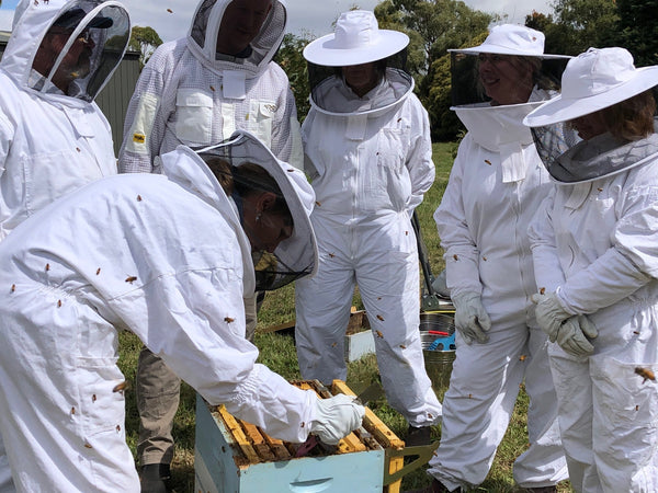 Beginner beekeeping course Melbourne