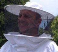Veils- Fits our suits & jackets