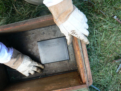 Small Hive Beetle Cassette trap -Apithor